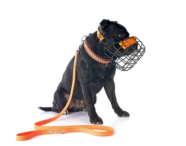 Les accessoires indispensables pour votre piscine autoportante