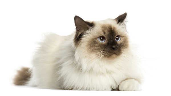 Guide pour choisir la bonne couleur de peinture pour chaque pièce